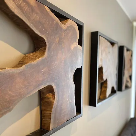 酒店 Schultheiss 哈默尔恩