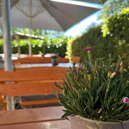 Schultheiss Hameln Hotel