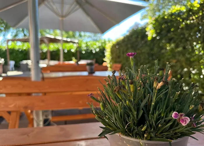 Schultheiss מלון